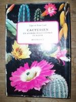 Cactussen en andere succulenten in kleur